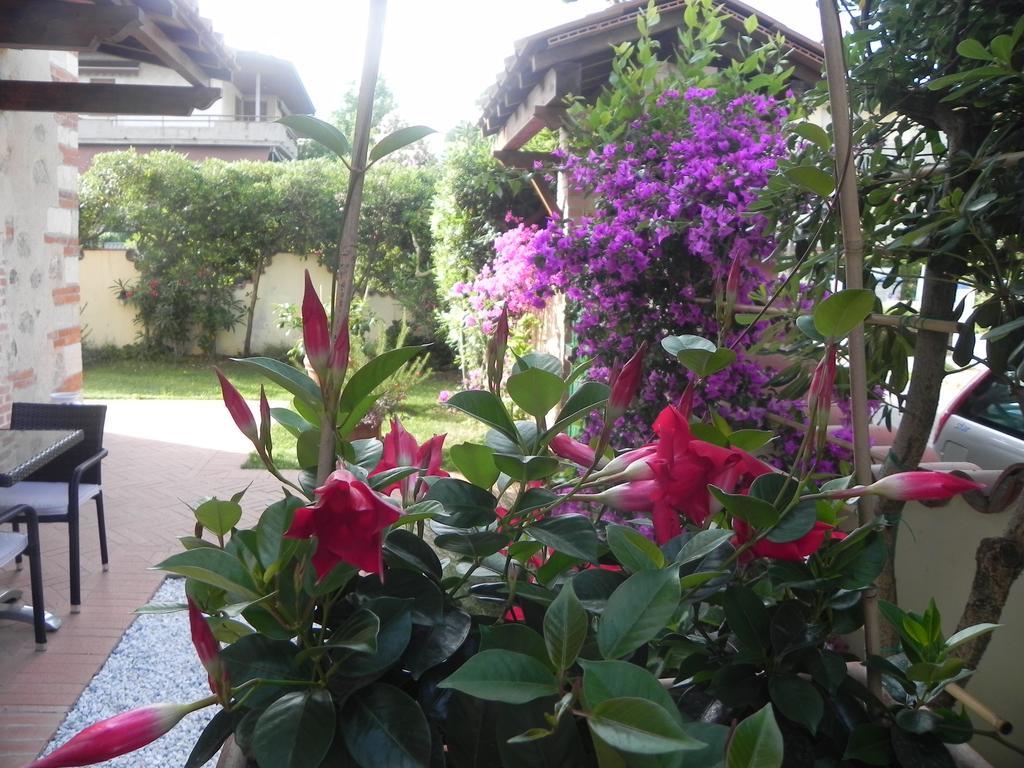 Villa Il Fortino Lido di Camaiore Ngoại thất bức ảnh