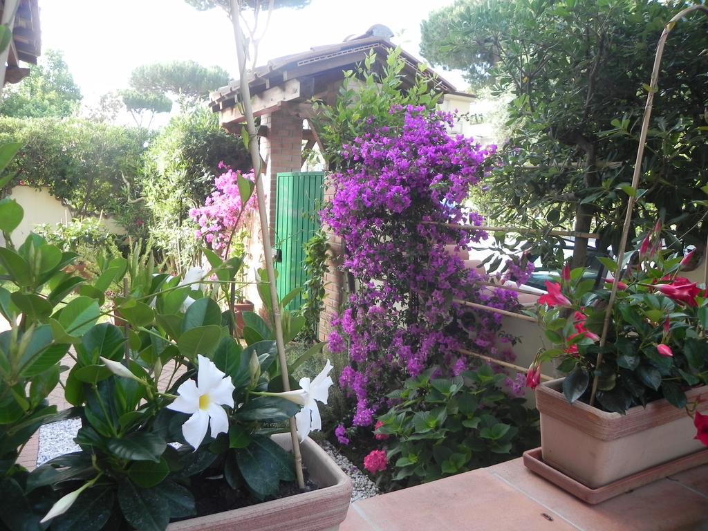 Villa Il Fortino Lido di Camaiore Ngoại thất bức ảnh