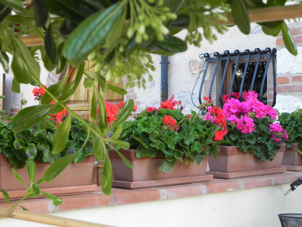 Villa Il Fortino Lido di Camaiore Ngoại thất bức ảnh